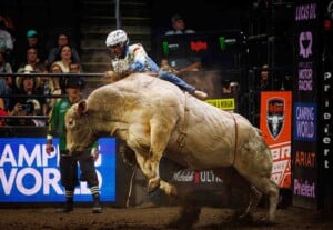 Pbr Kc Oct 6th 25 182