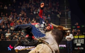 Pbr Kc Oct 6th 25 104