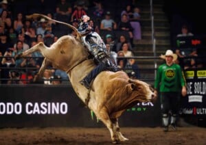 Pbr Kc Oct 6th 25 158