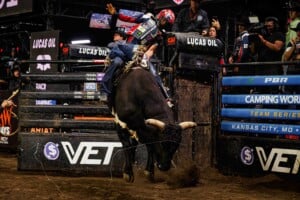Pbr Kc Oct 6th 25 92