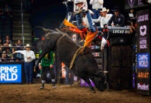 Pbr Kc Oct 6th 25 224