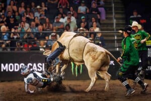 Pbr Kc Oct 6th 25 160