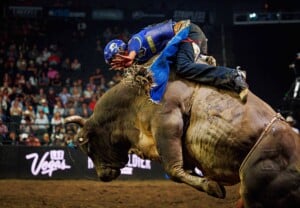 Pbr Kc Oct 6th 25 178