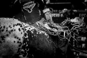 Pbr Kc Oct 6th 25 119