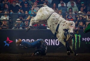 Pbr Kc Oct 6th 25 62