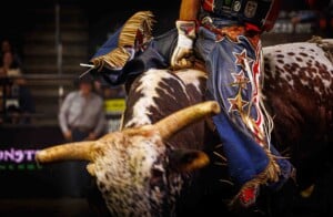 Pbr Kc Oct 6th 25 120