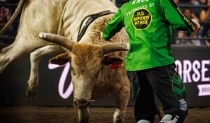 Pbr Kc Oct 6th 25 114
