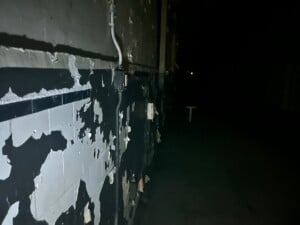 Img 6870
