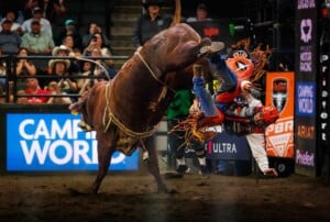 Pbr Kc Oct 6th 25 213