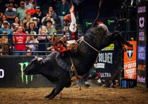 Pbr Kc Oct 6th 25 231