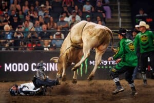 Pbr Kc Oct 6th 25 161