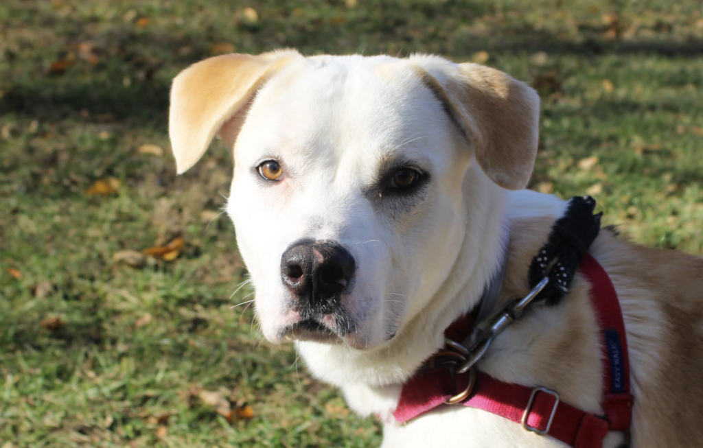 Screenshot 2025 11 17 At 30259pm