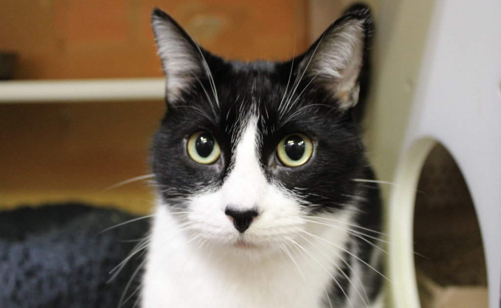 Screenshot 2025 11 12 At 23341pm