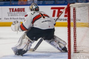 Kc Mavericks V Utah Grizzlies 12 19 25 31