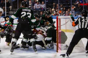 Kc Mavericks V Utah Grizzlies 12 19 25 51