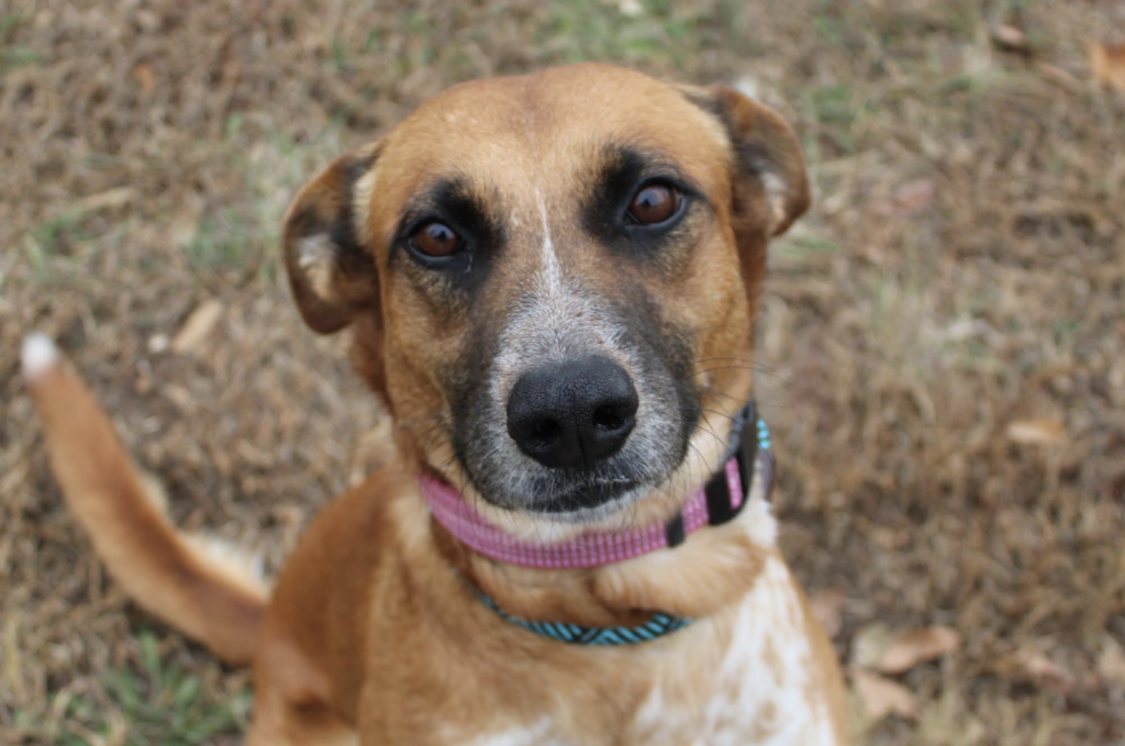 Screenshot 2025 12 10 At 101226am