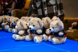 Kc Mavericks V Utah Grizzlies 12 2025 11