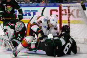 Kc Mavericks V Utah Grizzlies 12 19 25 27