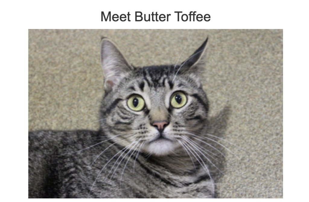 Screenshot 2026 01 05 At 95442pm