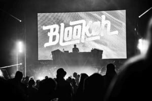 Blookah Kc 32126 Web 3