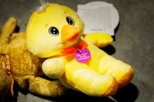 Kc Comets Vs San Diego Sockers Mar 27th 26 47