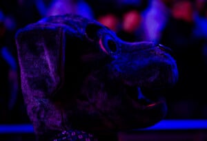 Sporting Kc Vs Columbus Crew Feb 28th 26 9