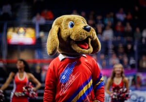 Kc Comets Vs San Diego Sockers Mar 27th 26 77