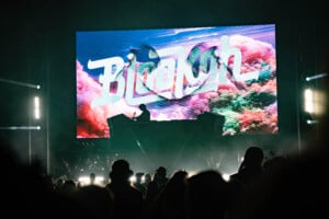 Blookah Kc 32126 Web 7