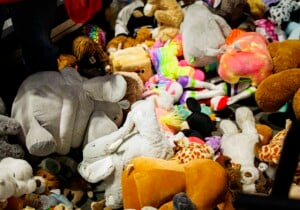 Kc Comets Vs San Diego Sockers Mar 27th 26 45