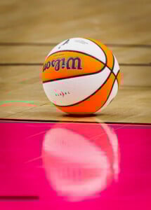 Minnesota Lynx Vs Negeria Wnba Apr 27th 26 119