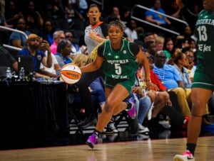 Minnesota Lynx Vs Negeria Wnba Apr 27th 26 142