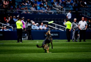 Sporting Kc Vs Seattle Sounders Fc May 2nd 26 34