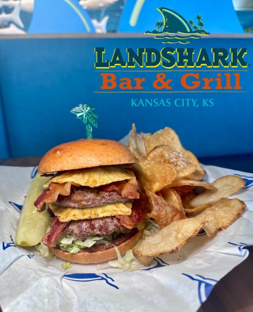 Lndshark Final