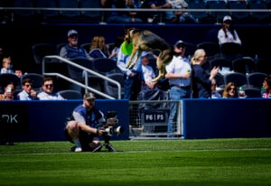 Sporting Kc Vs Seattle Sounders Fc May 2nd 26 35