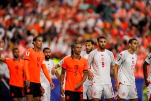 Tunisia Vs Netherlands June 25 26 61