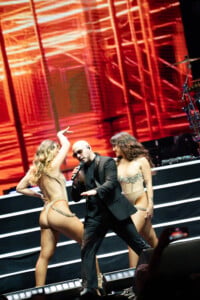 Pitbull Sympsonmedia Web 18