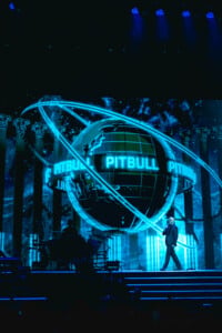 Pitbull Sympsonmedia Web 25