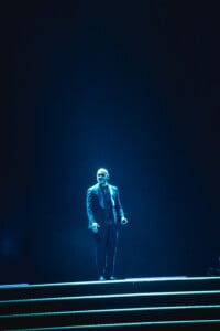 Pitbull Sympsonmedia Web 3