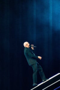 Pitbull Sympsonmedia Web 30