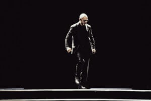 Pitbull Sympsonmedia Web 2