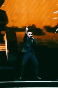 Pitbull Sympsonmedia Web 7