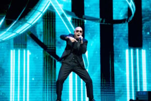 Pitbull Sympsonmedia Web 26