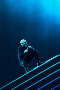 Pitbull Sympsonmedia Web 32