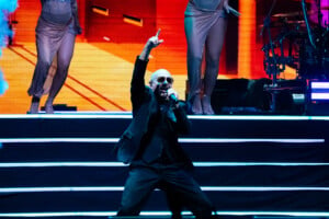 Pitbull Sympsonmedia Web 12