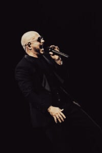 Pitbull Sympsonmedia Web 31