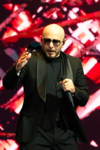 Pitbull Sympsonmedia Web 23