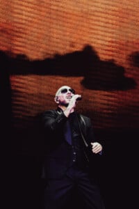 Pitbull Sympsonmedia Web 8