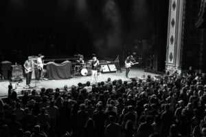 Saves The Day 13