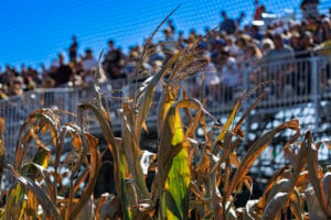 Ku V Iowa Field Of Dreams Oct 10th 26 32