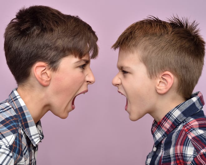 two angry brothers fighting, for article on sibling relationships